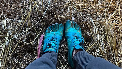 Working on the farm 🐴//first time trying barefoot shoes 👣