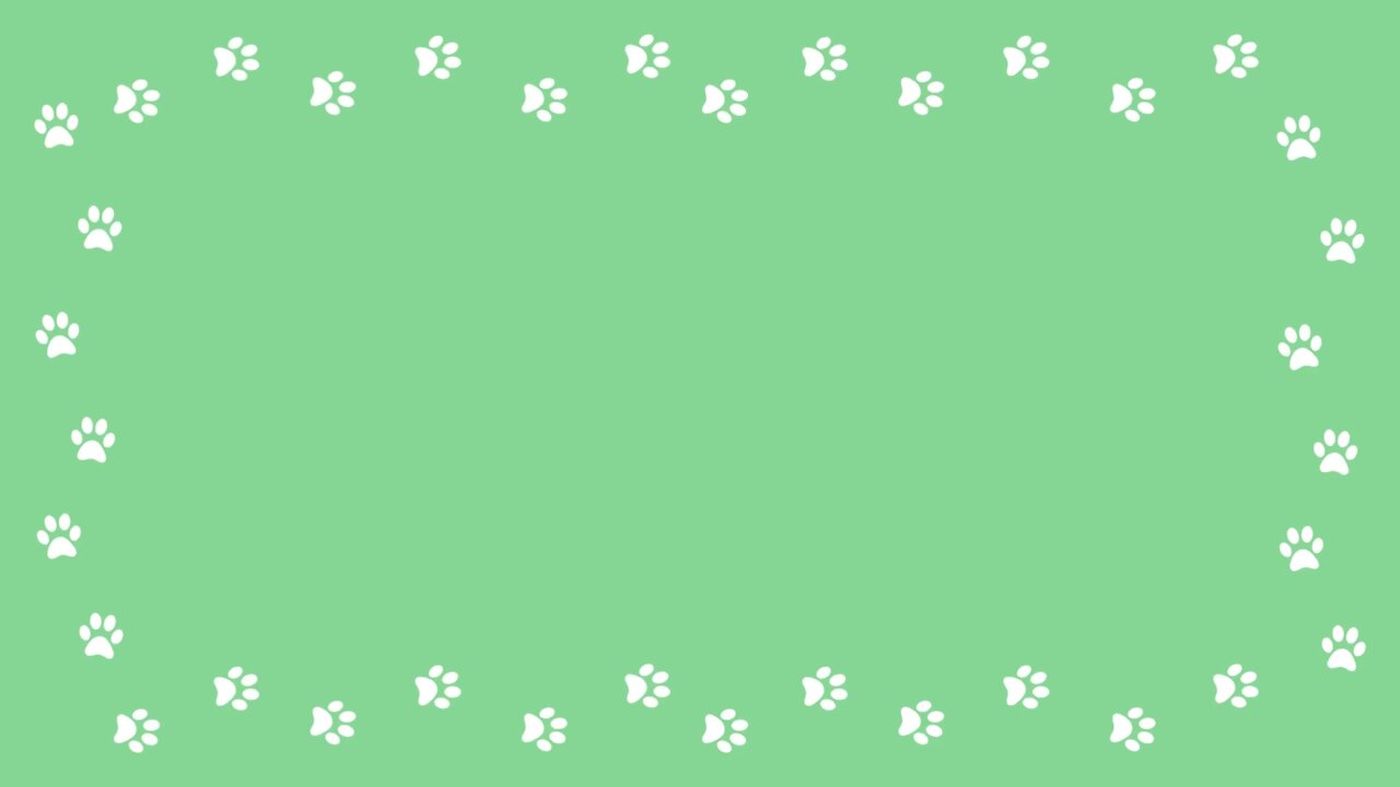 animals cute cats dogs