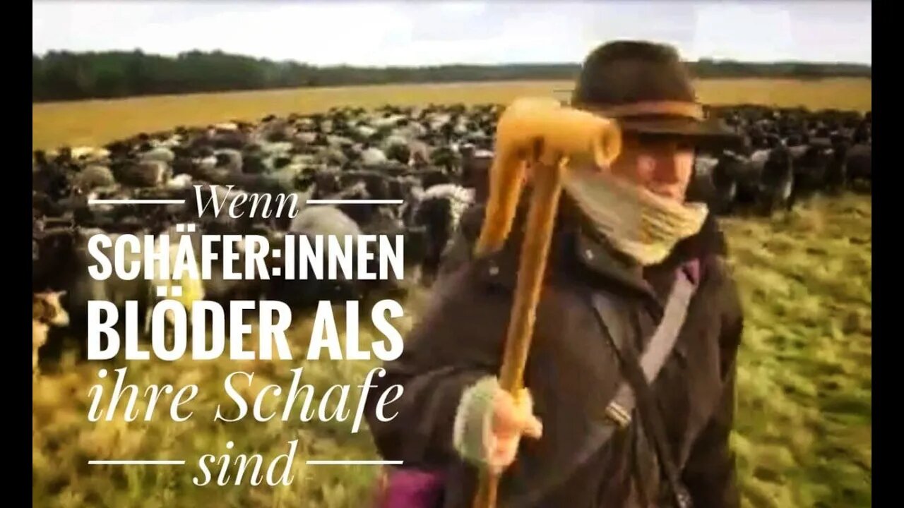 Schafer:Innen vergleichen unentschlossene Impfskeptiker mit Schafen. Genau mein Humor.