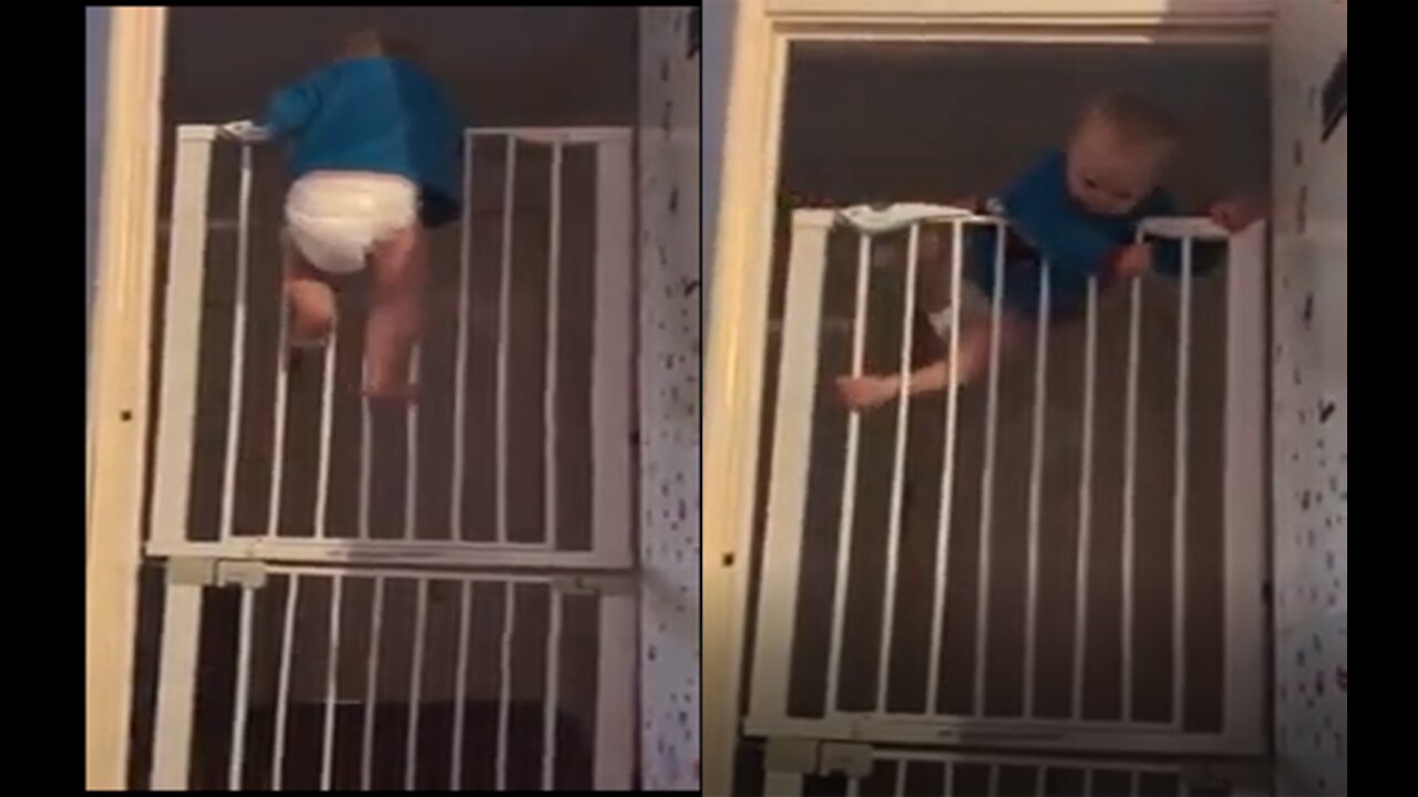 Baby ninja climbing like spider man