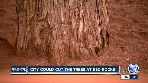 Improvement plans for Red Rocks could impact trees, and not everyone’s happy about it