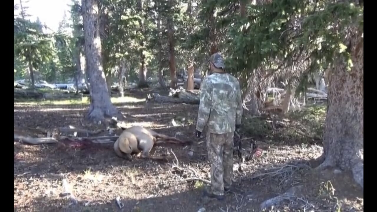 Utah General Archery OTC Elk Hunt, Uintas Sept 2014