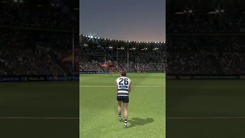 Tom Hawkins The Old Cat