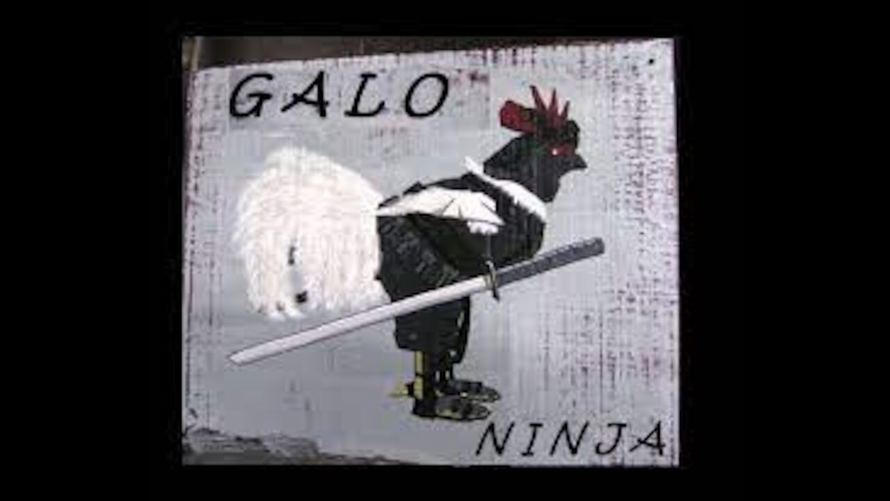 Ninja rooster