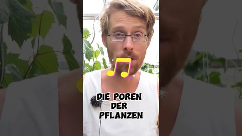 musik als Dünger für Pflanzen #shorts