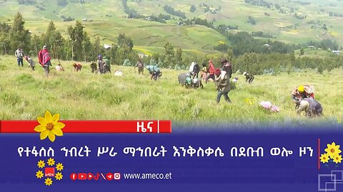 የተፋሰስ ኅብረት ሥራ ማኅበራት እንቅስቃሴ በደቡብ ወሎ ዞን