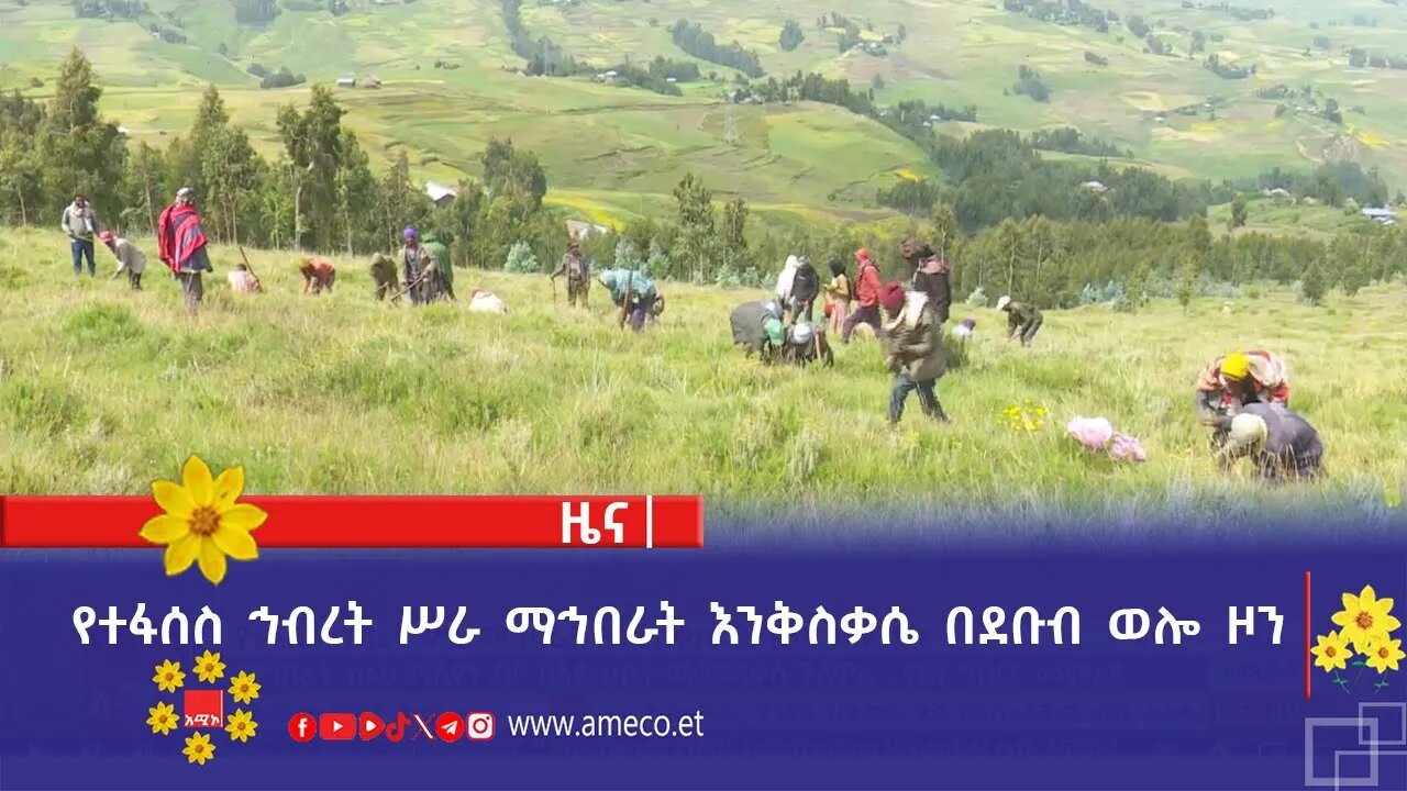 የተፋሰስ ኅብረት ሥራ ማኅበራት እንቅስቃሴ በደቡብ ወሎ ዞን