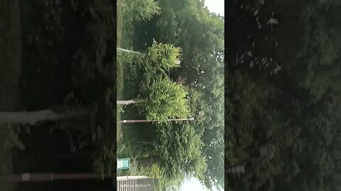 #etsukojunio #etsukofans #fransiscaofficial #teamfransisca #沉连清 #fransisca #fransiscametaworld