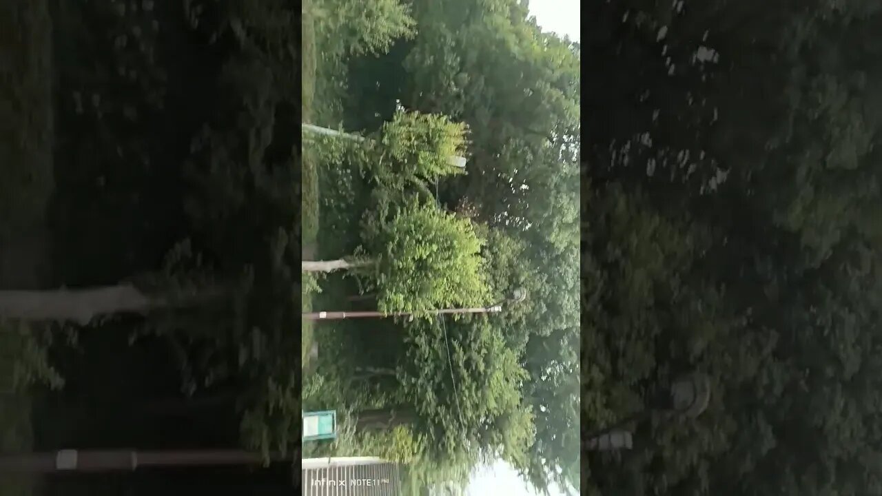 #etsukojunio #etsukofans #fransiscaofficial #teamfransisca #沉连清 #fransisca #fransiscametaworld