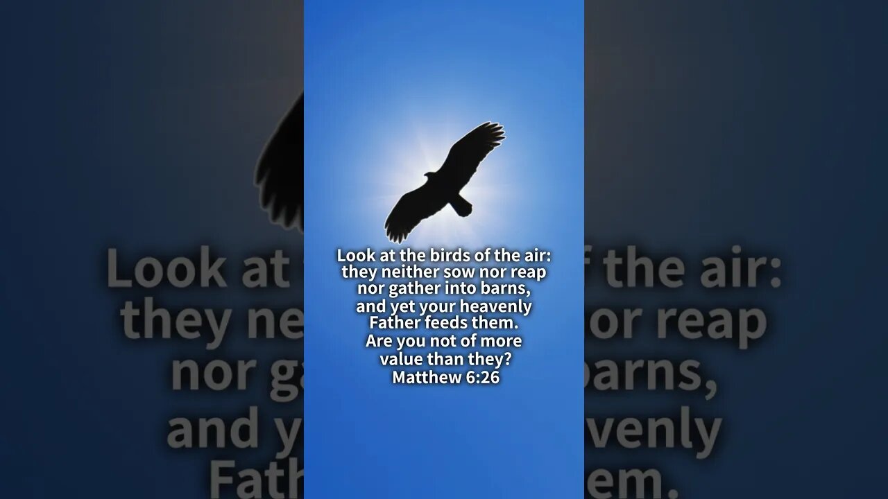 Matthew 6:26 #God #Lord #Jesus #christian #bible