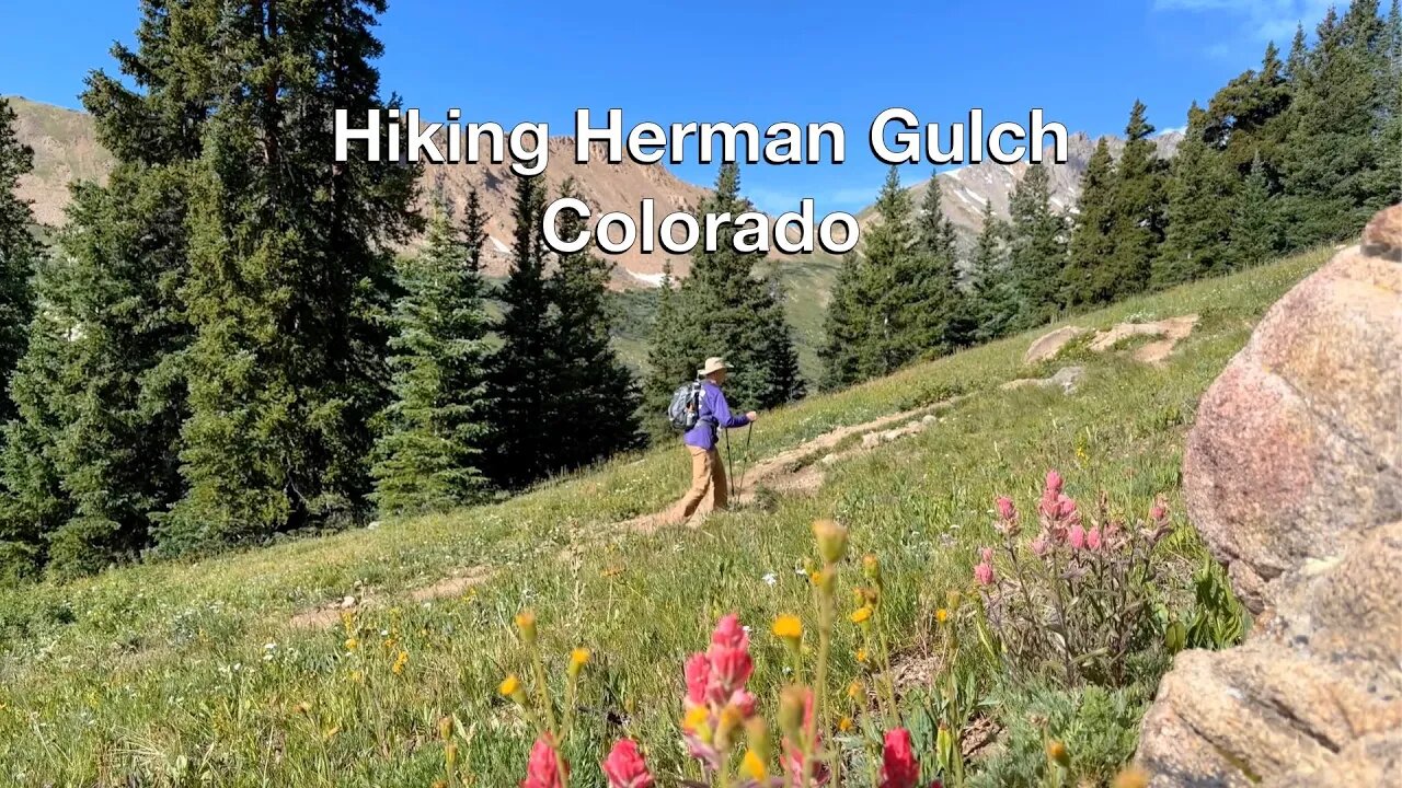 Herman Gulch