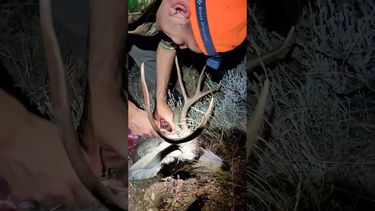 Big Buck Hunter | I am just a good guy! #muledeer #muledeerhunting