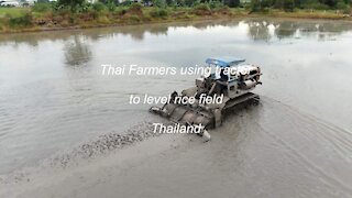 Thai farmer using tractor to level the rice field in Thailand