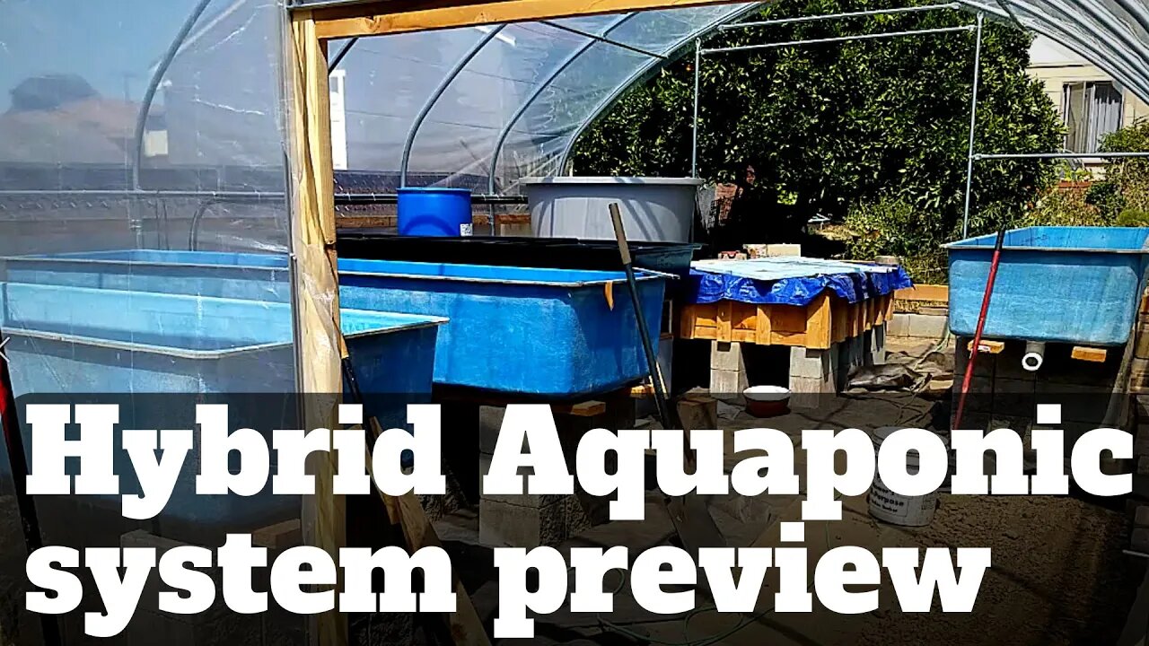 Aquaponics system preview (Hybrid aquaponic system)