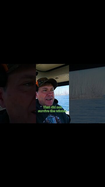 Millions Of Fish Died This Winter!!