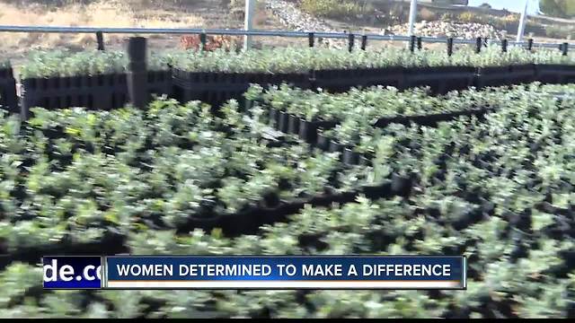 Female prisoners plant sagebrush to help protected species