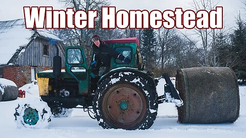 NO Days OFF in a Homestead?!