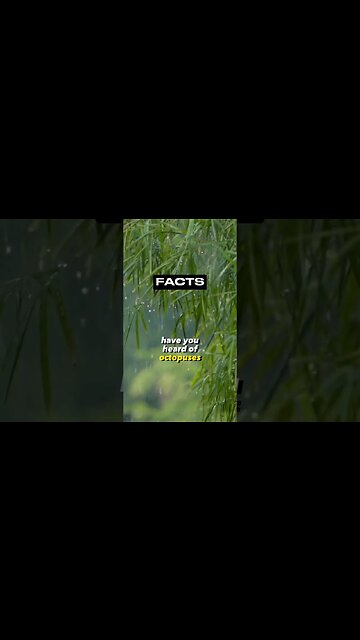 Octopus's have three hearts!