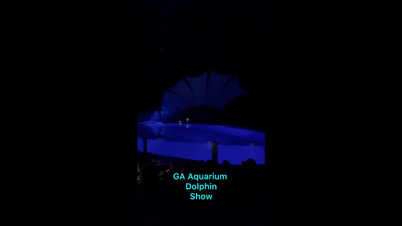 Dolphin Show at Georgia Aquarium