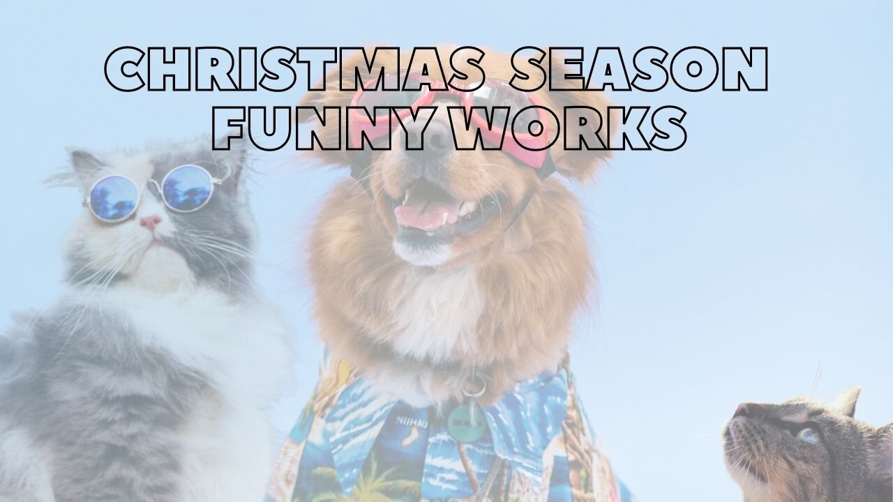 Funny pets works in Christmas season.