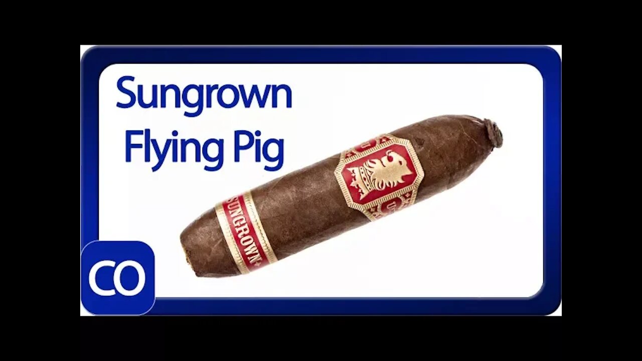 Drew Estate Undercrown Sungrown Flying Pig Cigar Review