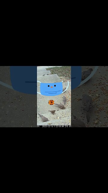 A Face Mask Visited So I Threw Fireballs At It #Shorts 🔥