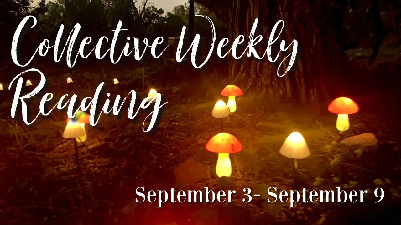 🍄LIVE: Weekly Collective Reading | September 3- September 9