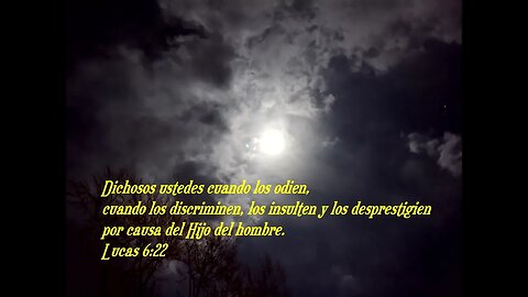 Versículo bíblico diario para hoy