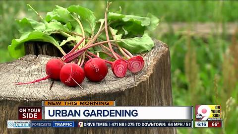 This garden is right off Interstate 75