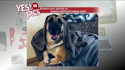 Yes! Pics: 3/7/18