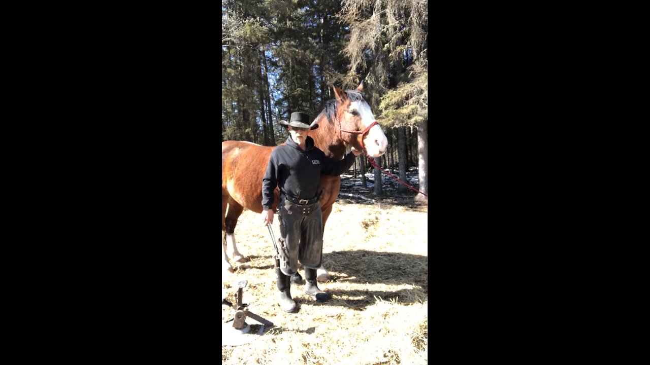 True Canadian🍁Cowboy🤠You Are In Charge Of👉Your Own👀Destiny💥🔥😎