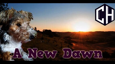 A New Dawn