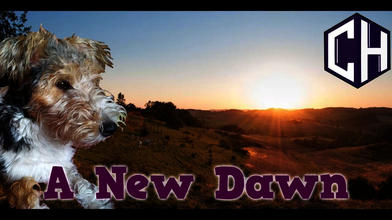 A New Dawn