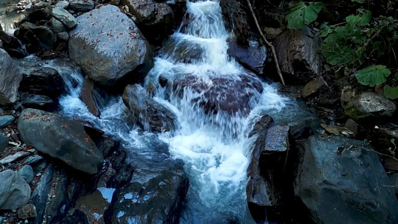 Stop insomnia with this amazing little waterfall flowing water deep in the forest.