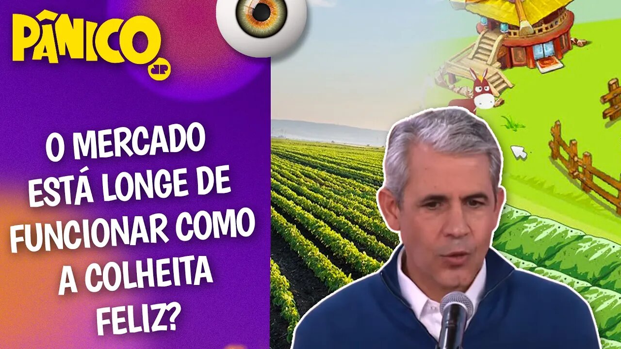 DOMÍNIO MUNDIAL DO AGRONEGÓCIO DEPENDE MAIS DE INCENTIVOS QUE DE SACRIFÍCIOS? Felipe D'Ávila comenta