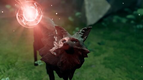 The Spirit and Lost Ember - The Lost Ember