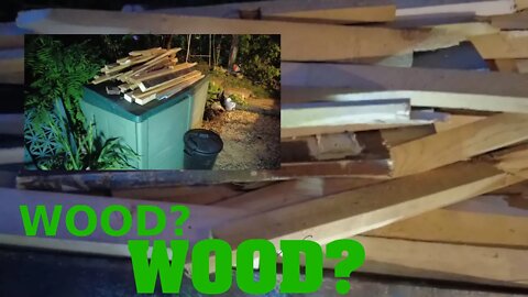 MY DAD'S WOOD FEVER!