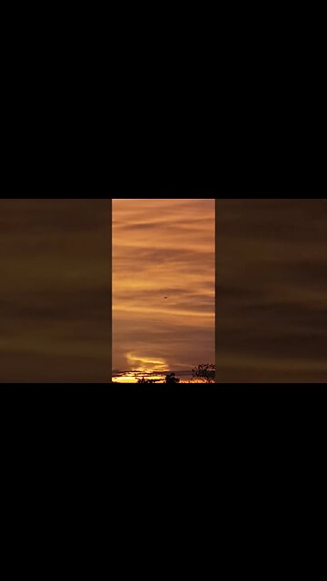 something in the sunset!