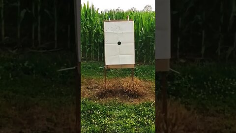 12 Gauge 10 Pellet Buckshot Testing 💥