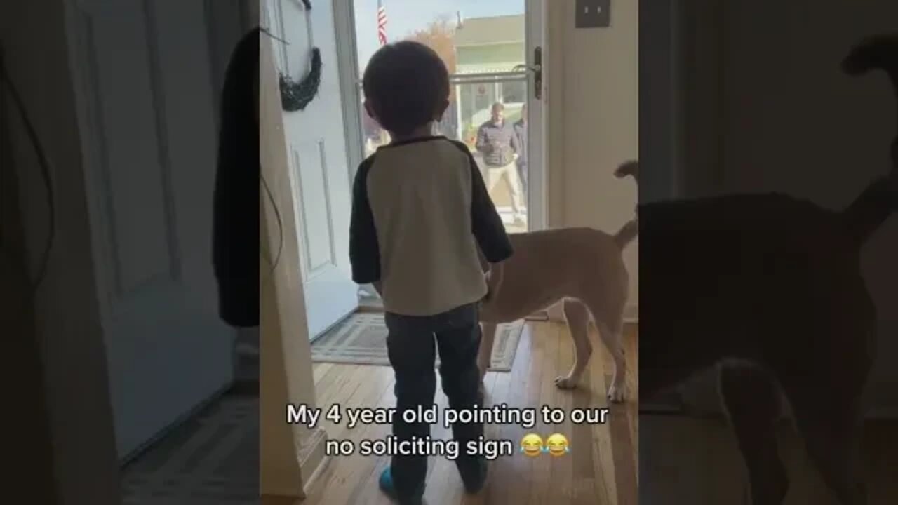 4 year old kicks out solicitors