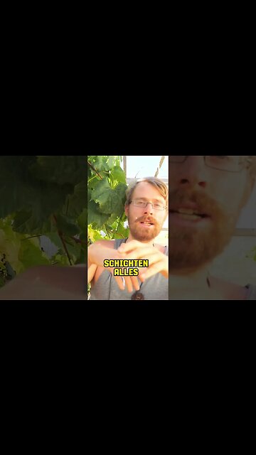 Hügelbeet - Das beste Beet im Garten #shorts