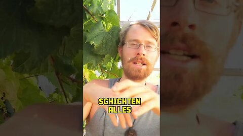 Hügelbeet - Das beste Beet im Garten #shorts