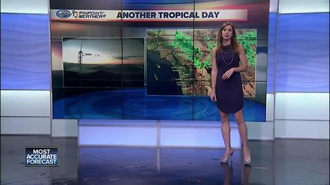 Tropical San Diego Day
