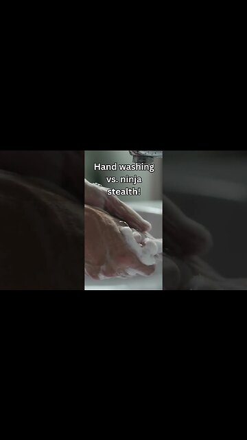 Would you challenge a Ninja?