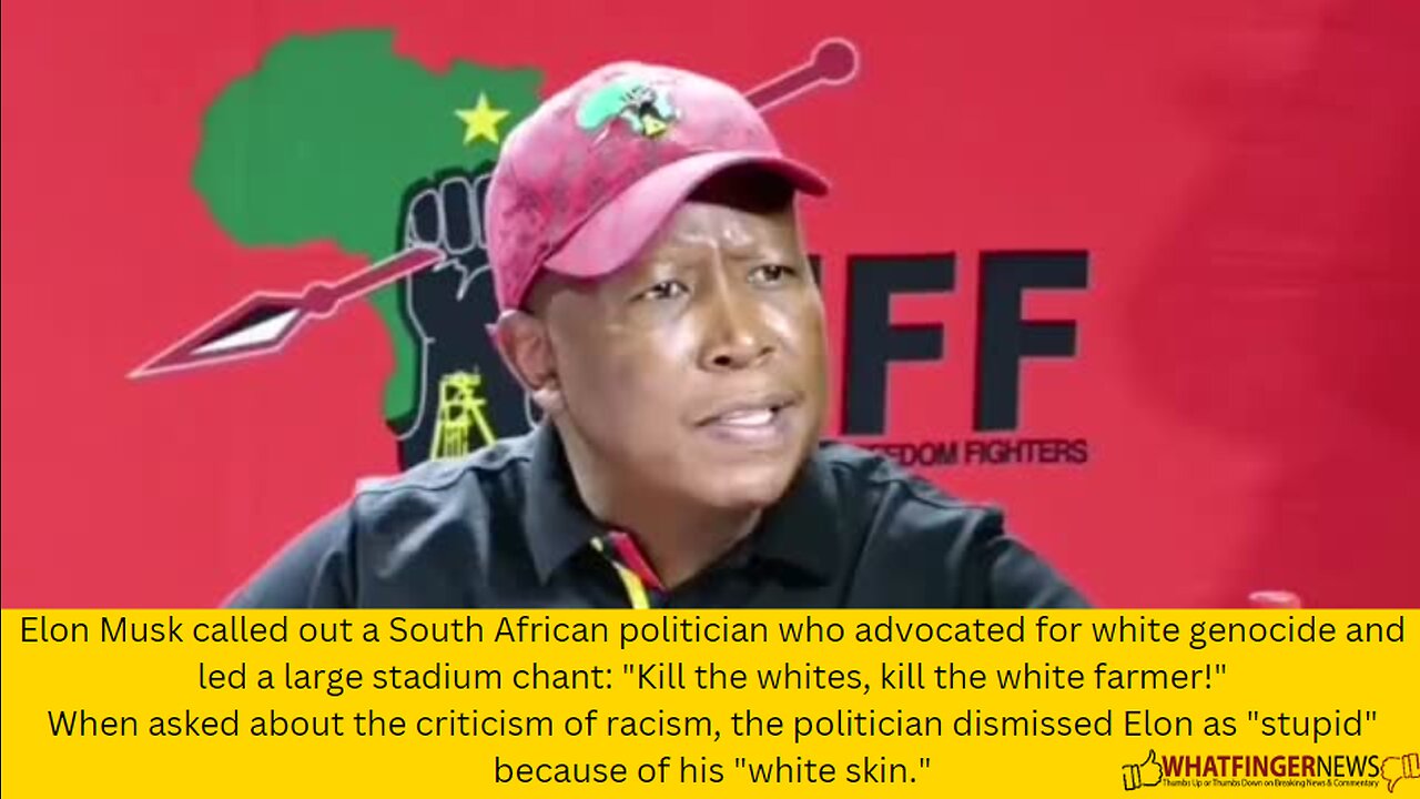 Elon Musk called out a South African politician who advocated for white genocide