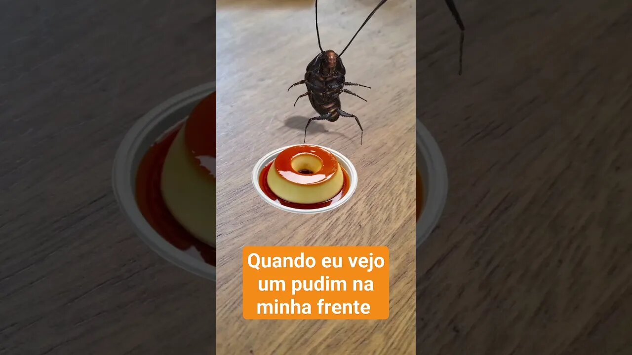 quando vejo um pudim na minha frente