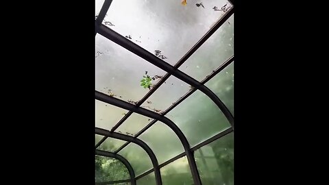 Scary Yet Calming tiktok mysunroom