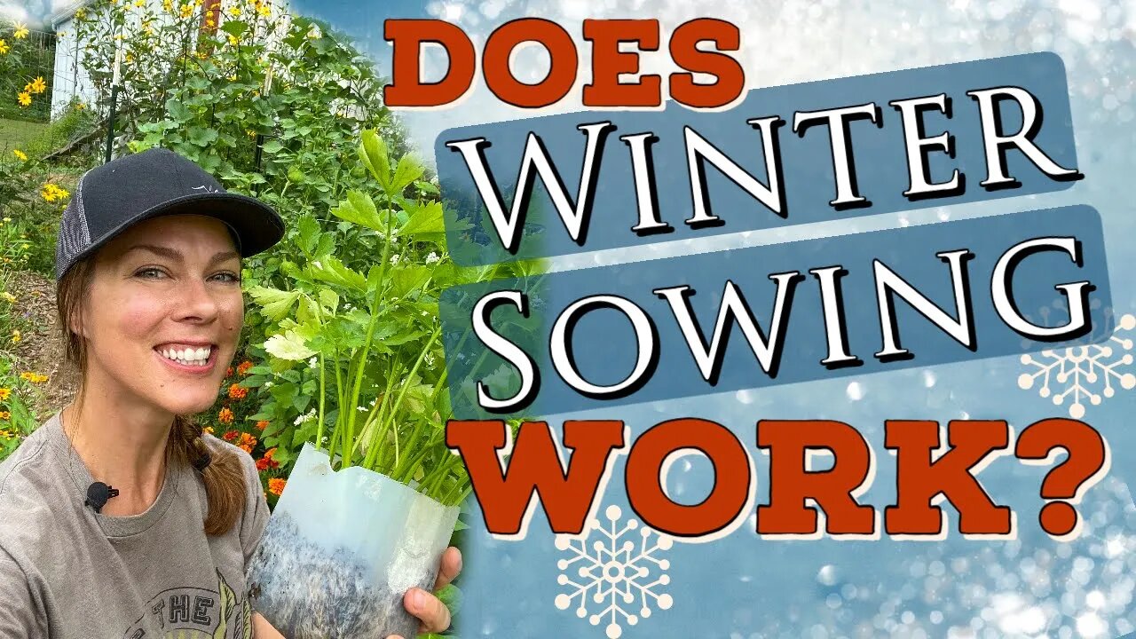 Does Winter Sowing Vegetables Work? The final winter sowing update!