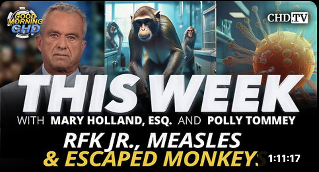 RFK Jr., Measles & Escaped Monkeys