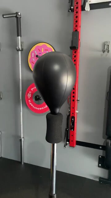 Reflex Bag Boxing Workout | Shredded Dad